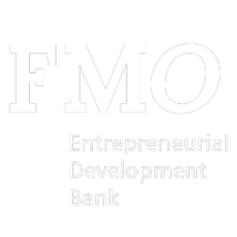 FMO FI ESG TOOL